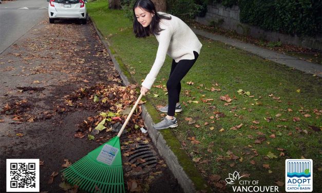 Sunset Neighbourhood Catch Basin and Litter Clean-up