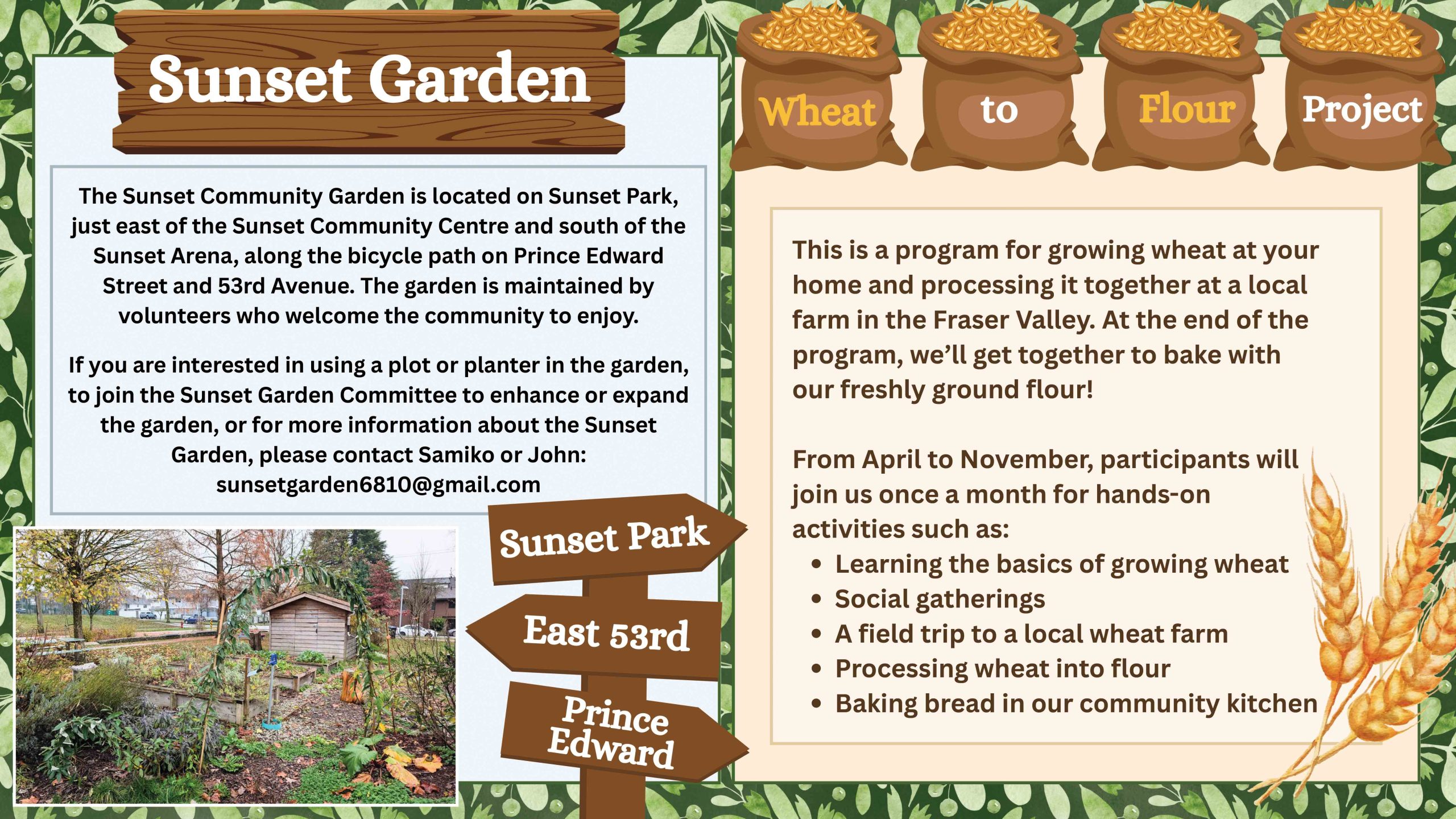 The Sunset Community Garden is located on Sunset Park, just east of the Sunset community Centre and south of the Sunset Arena, along the bicycle path on Prince Edward Street and 53rd Avenue. The garden is maintained by volunteers who welcome the community to enjoy