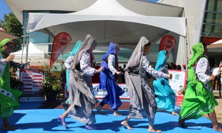 604 Bhangra Adult Classes at Sunset