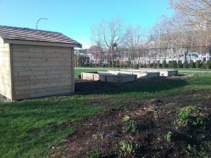 Sunset Community Garden is now accepting new applicants for the 2020 season! We have shared garden plots with monthly meetings and work parties. The next meeting is on Sunday, 23 February 2020 at 12:30 pm. In the covered area in Sunset Park.