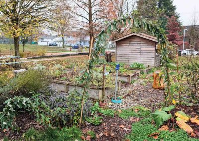 The Sunset Community Garden is located on Sunset Park, just east of the Sunset community Centre and south of the Sunset Arena, along the bicycle path on Prince Edward Street and 53rd Avenue. The garden is maintained by volunteers who welcome the community to enjoy